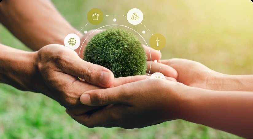 Conscious Living, Conscious Choices: The Rise of Organic Lifestyle